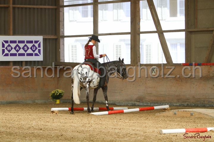 26-ApHC GT_019.jpg